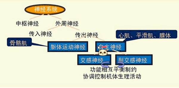 医学教育网初级药士/师/主管药师：《答疑周刊》2016年第3期