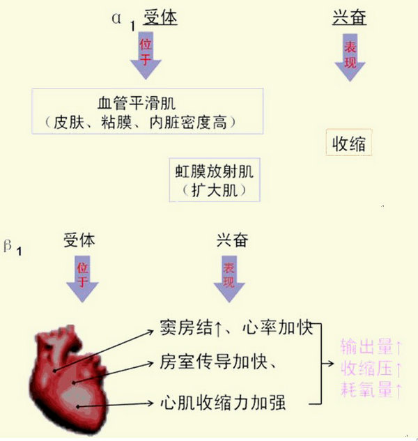 医学教育网初级药士/师/主管药师：《答疑周刊》2016年第3期