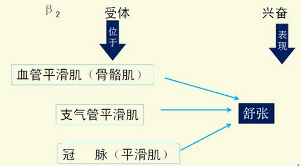 医学教育网初级药士/师/主管药师：《答疑周刊》2016年第3期