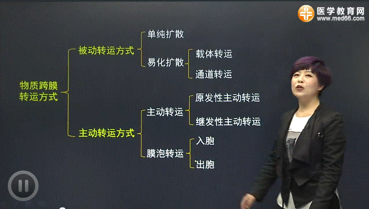 2017临床医师考试生理学考点：细胞-细胞膜的物质转运功能记忆要点