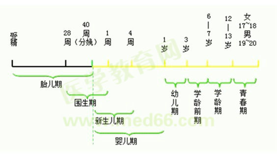 小儿年龄分期和各期的特点
