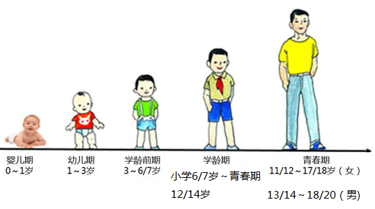 快来看小儿年龄阶段的划分及各期特点