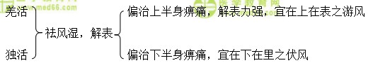医学教育网初级中药士：《答疑周刊》2018年第20期