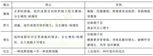 临床执业医师病理学考点