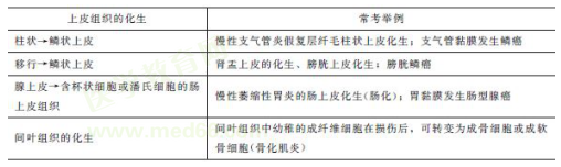 临床执业医师病理学考点