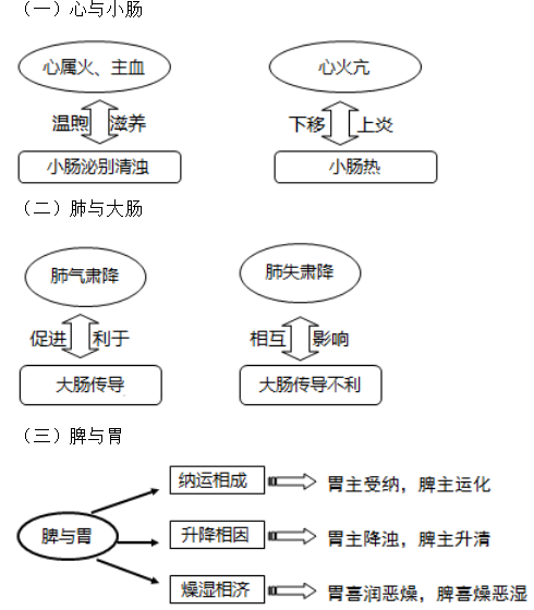 六腑与五脏之间的关系