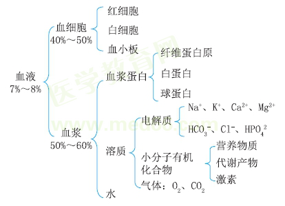 血液的组成 