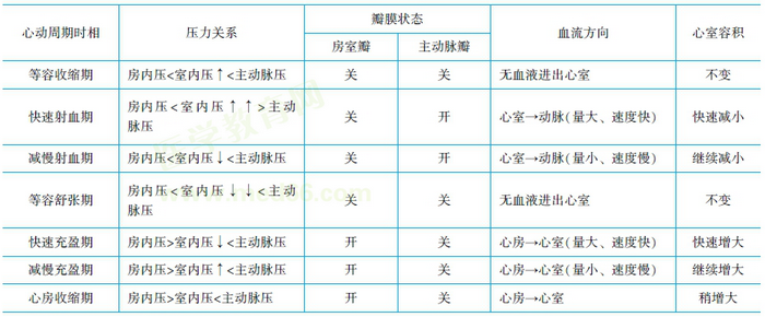 心动周期生理特点