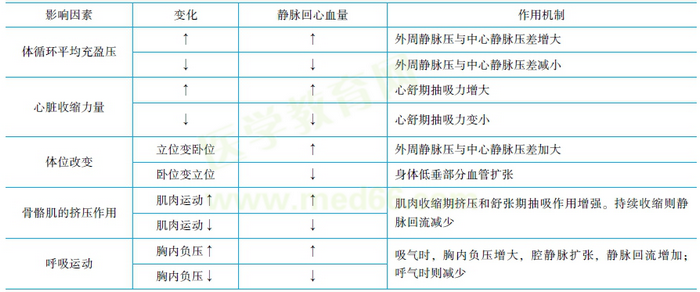 静脉回心血量及其影响因素 