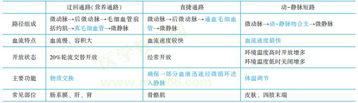 微循环通路及其生理功能 