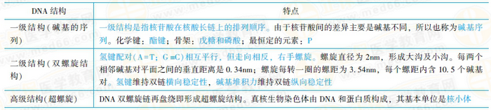DNA各级结构的特点