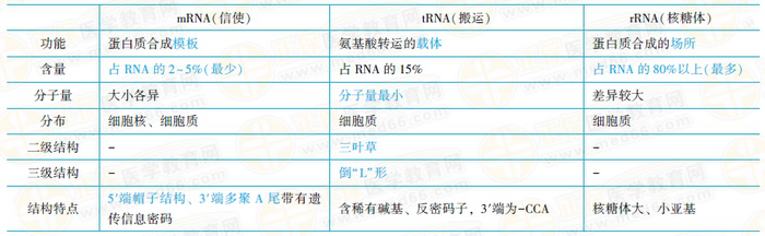 结构特点