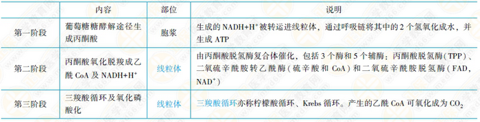 糖的分解代谢和有氧氧化