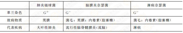 几种常见致病球菌特点 