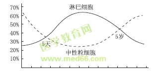 儿童中性粒细胞