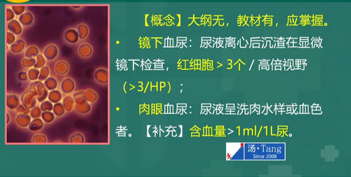 汤以恒2019临床执业医师泌尿系统科目免费视频课更新！