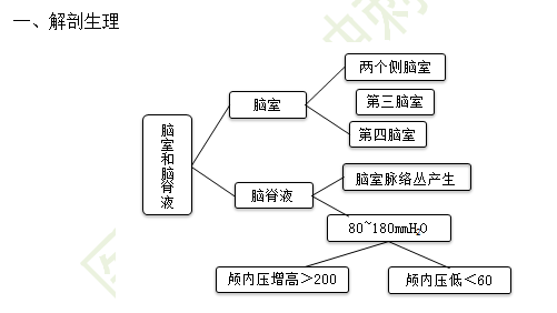 脑室系统解剖