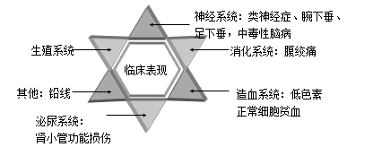 慢性铅中毒的临床表现