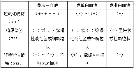 细胞化学染色主要从细胞形态来鉴别各类白血病 