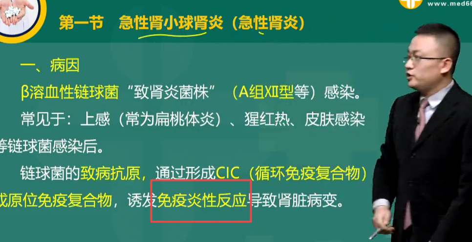 肾小球疾病最主要的发病机制是