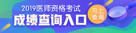 2019医师成绩查询入口