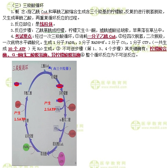 　　公卫执业医师重点章节考点：糖的分解代谢