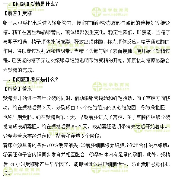 受精着床