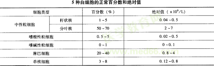 白细胞的正常值