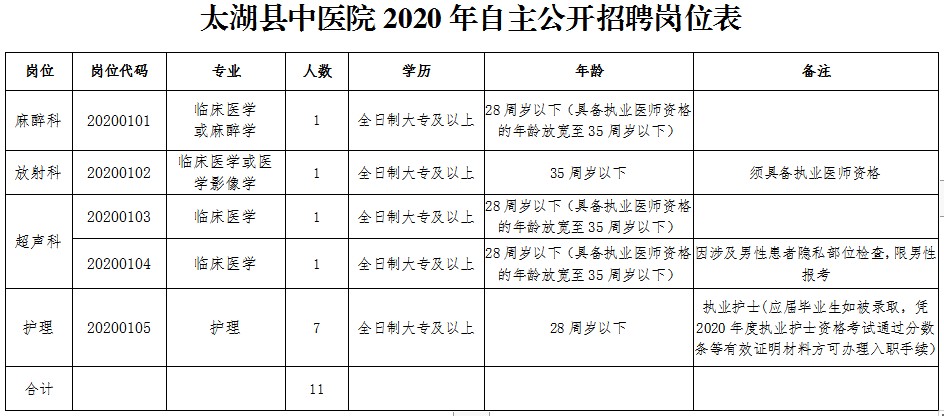 太湖县中医院（安徽省）2020自主公开招聘医疗岗岗位计划表