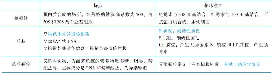 细菌细胞结构的医学意义