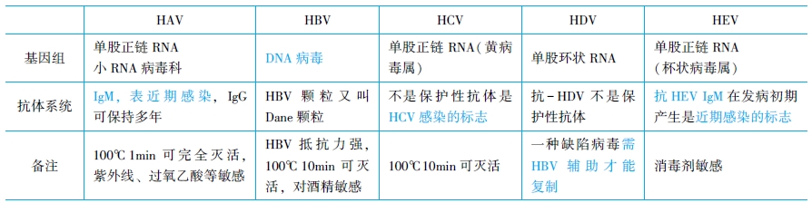 病毒性肝炎的生理学性状