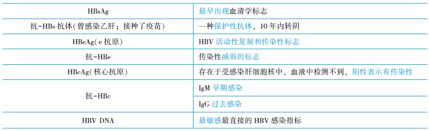 HBV的抗原抗体系统