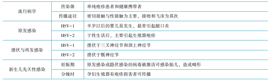 单纯疱疹病毒分型及流行病学特点