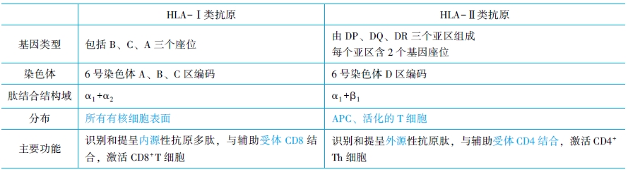 HLA-Ⅰ类抗原和HLA-Ⅱ类抗原