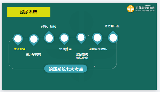 泌尿系统7大考点