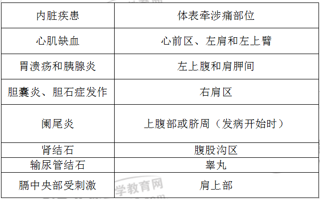 临床常见内脏疾患的体表牵涉痛部位
