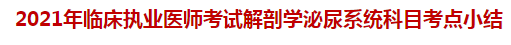 2021年临床执业医师考试解剖学泌尿系统科目考点小结