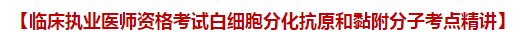 临床执业医师资格考试白细胞分化抗原和黏附分子考点精讲