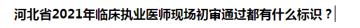 河北省2021年临床执业医师现场初审通过都有什么标识？