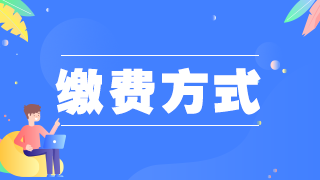 画板 7