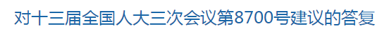 对十三届全国人大三次会议第8700号建议的答复