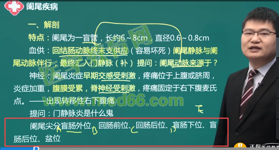 图片13