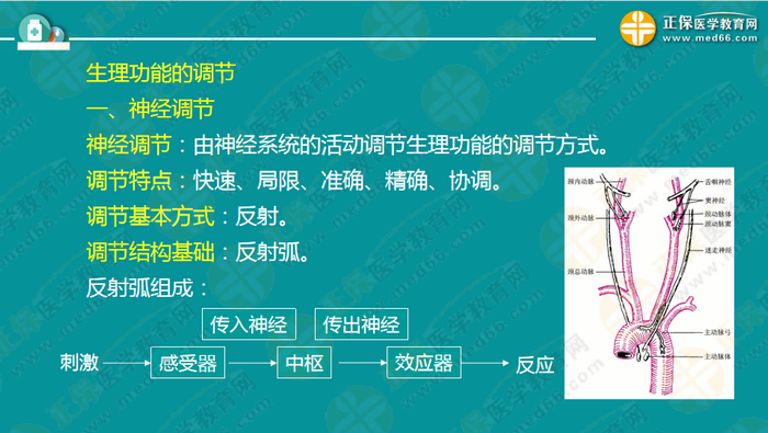 医疗卫生考试笔试备考指导来了，共计2863页书！怎么学？