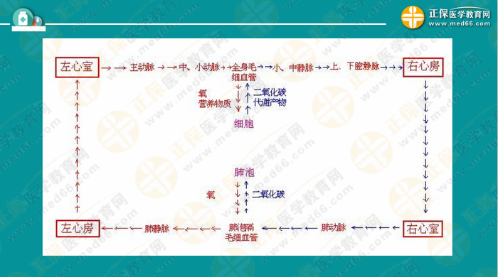 医疗卫生考试笔试备考指导来了，共计2863页书！怎么学？