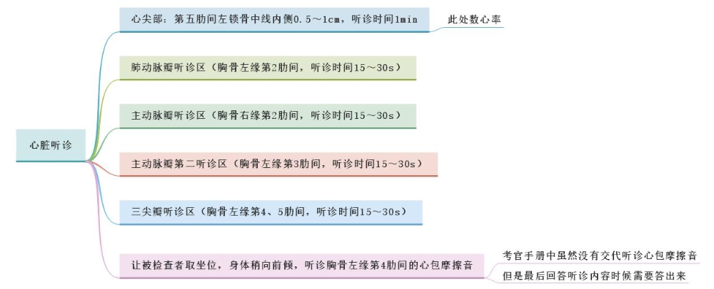 体格检查——心脏听诊