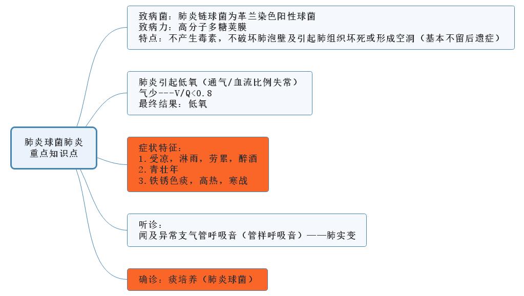 肺炎球菌肺炎重点知识点