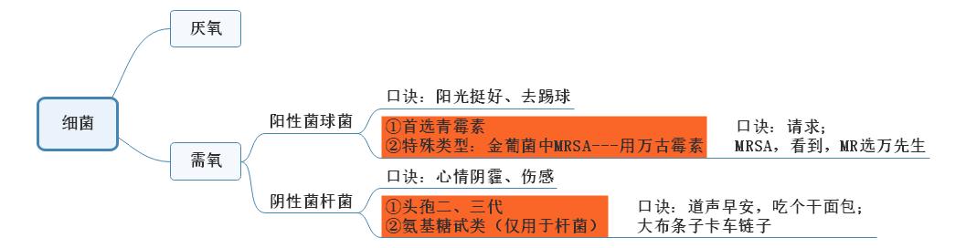 肺炎细菌感染总结