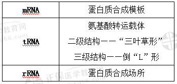 RNA结构与功能