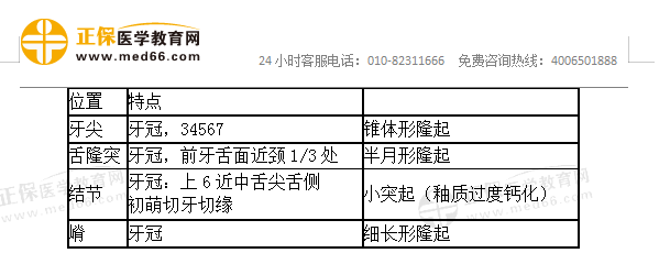 口腔解剖生理学易混淆考点