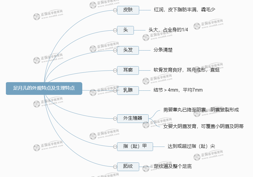 足月儿的外观特点及生理特点